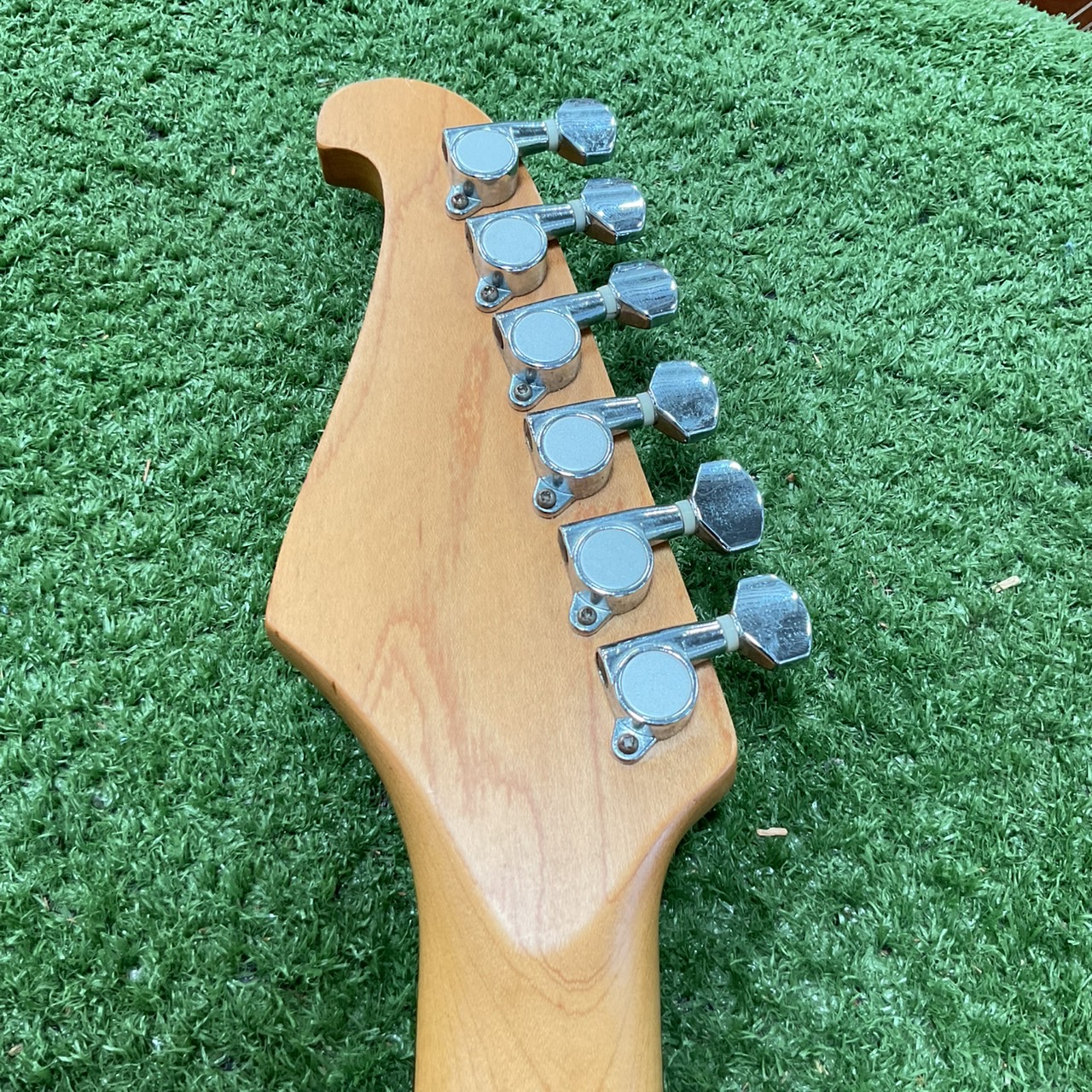 กีต้าร์ไฟฟ้า CHATTING BIRD