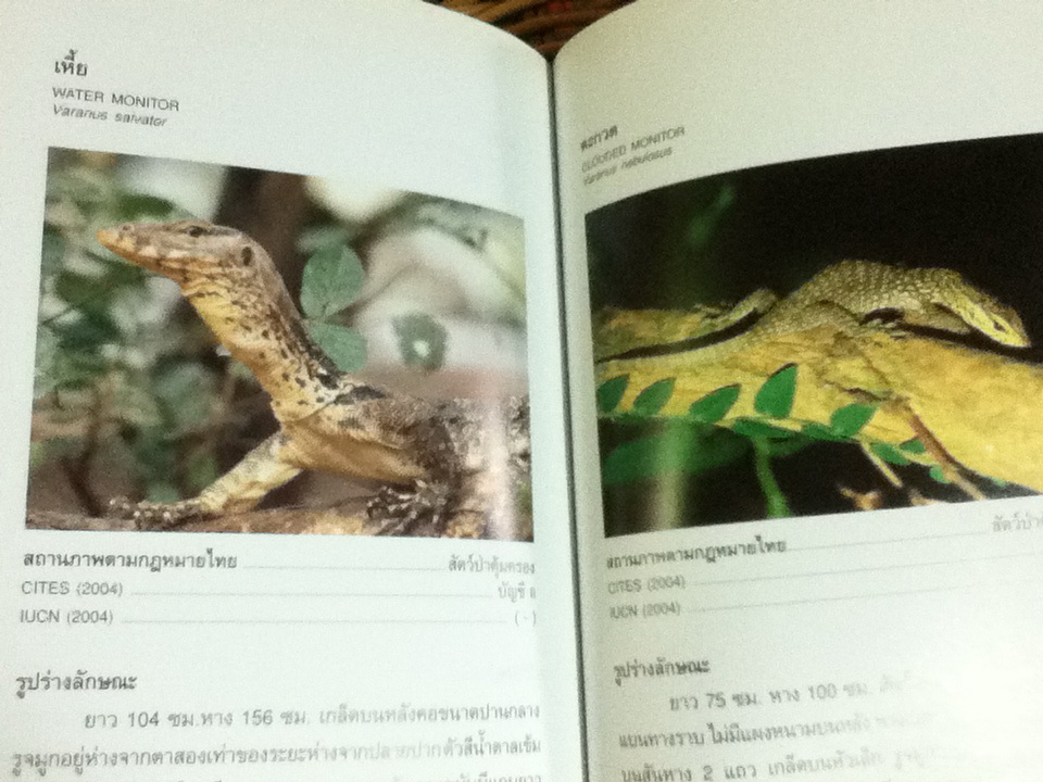 คู่มือจำแนกสัตว์ป่า เพื่องานป้องกัน และปราบปรามการลักลอบค้าสัตว์ป่า