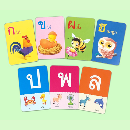 Book World Flash Card บัตรภาพชุดที่ 8 หัดอ่าน หัดเขียน ก เอ๋ย ก ไก่, หัดอ่าน หัดเขียน ABC (1 ชุด มี 2 กล่อง)