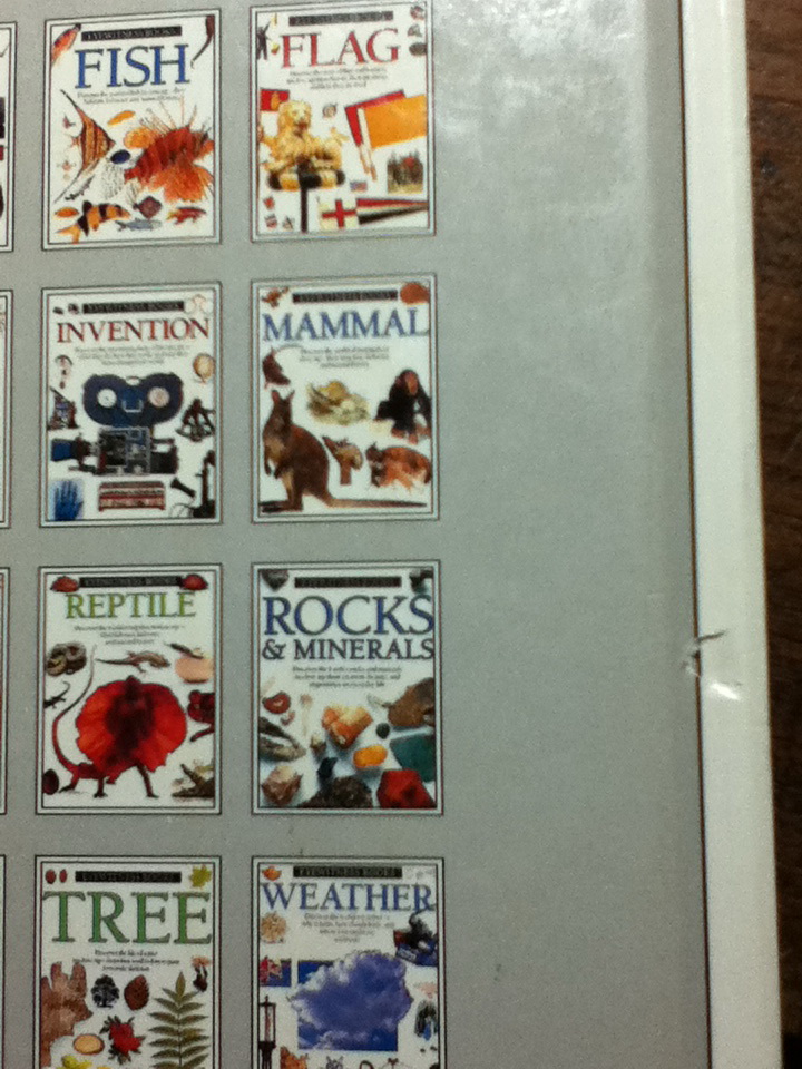 ROCKS & MINERALS (ปกแข็ง)