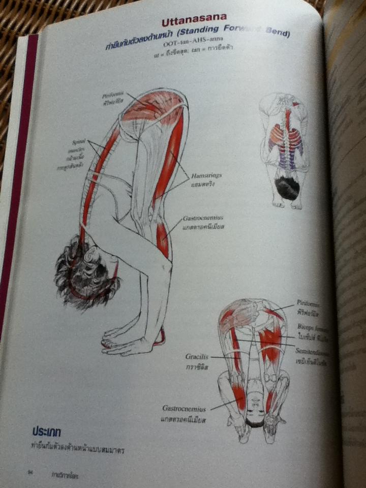 กายวิภาคโยคะ/ เลสลี่ คามินอฟฟ์, เอมี่ แมทธิวส์