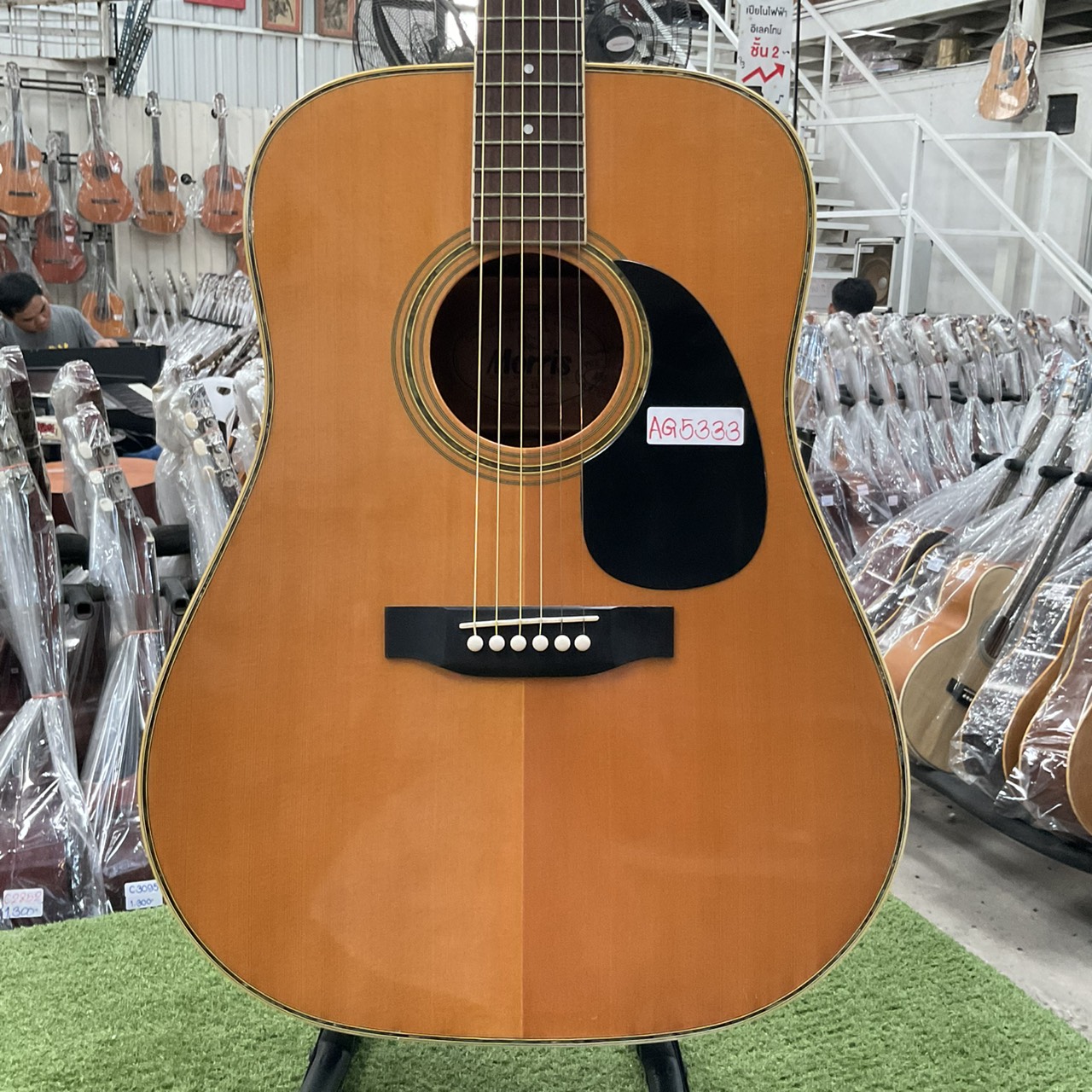 กีต้าร์โปร่ง Morris : W-25