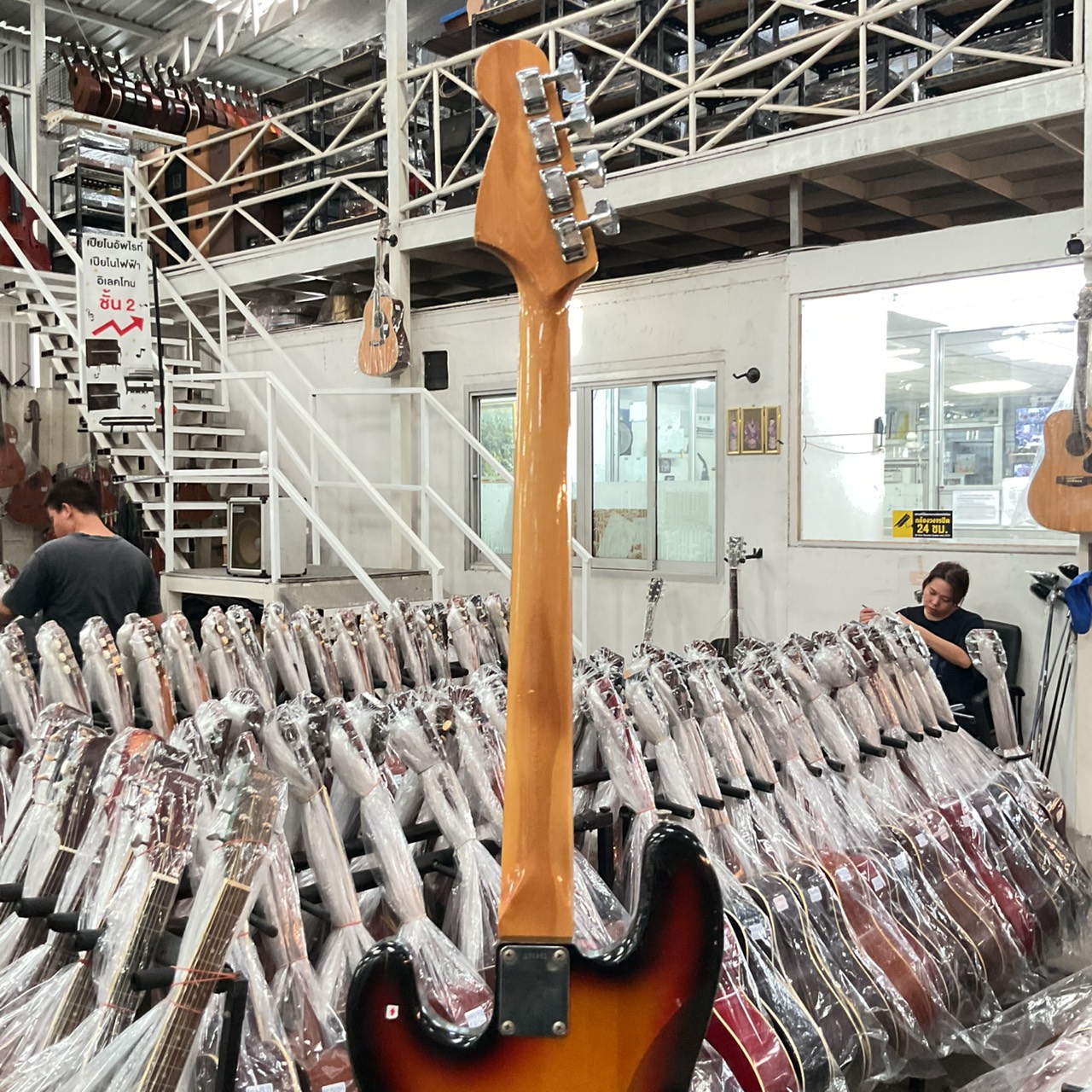 กีต้าร์เบส HOLLY : SPLENDOR