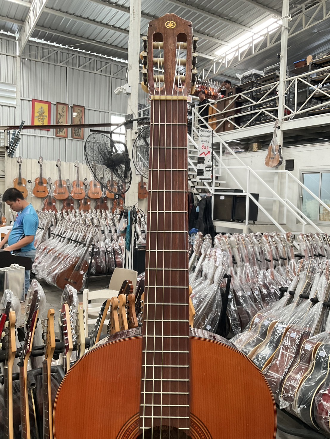 กีต้าร์คลาสสิค YAMAHA : G-50A