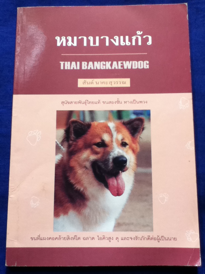 หมาบางแก้ว