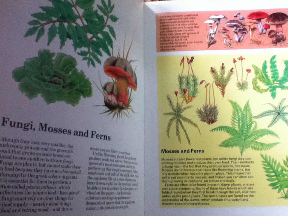 Let me tell you about...LIVING THINGS