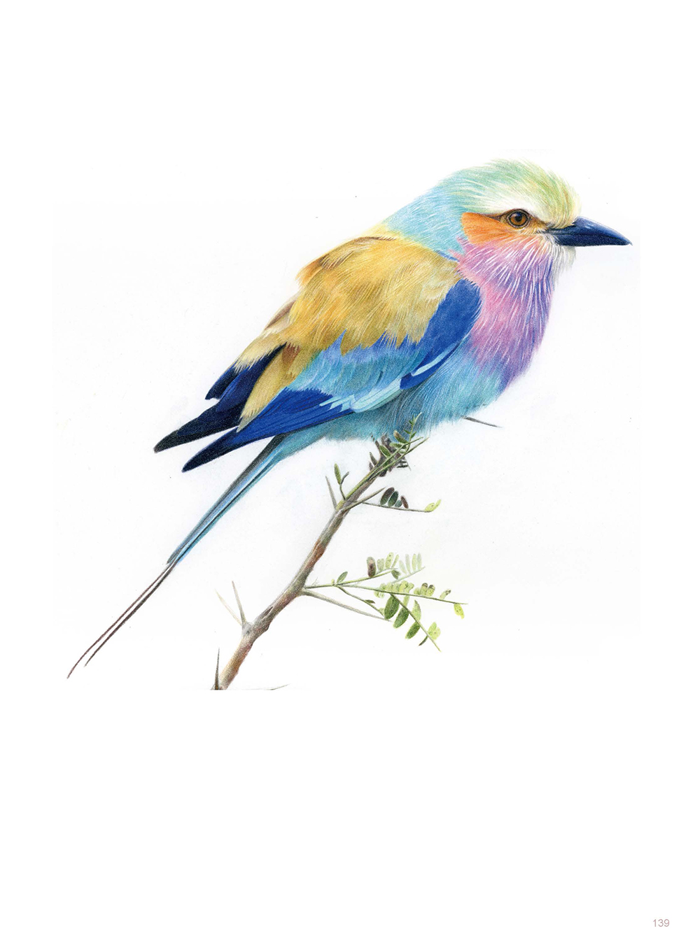 (Pre-order) หนังสือเทคนิคระบายสีไม้