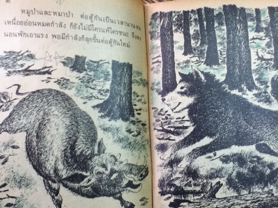 หมูป่า กับ หมาป่า หนังสืออ่านเพิ่มเติมกลุ่มสร้างเสริมลักษณะนิสัย ชั้น ป.1-2 (หนังสือแถม)