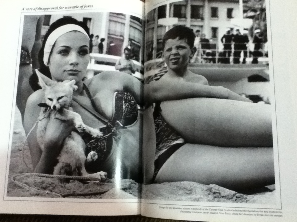 The Joy of LIFE/ Philip B. Kunhardt Jr.