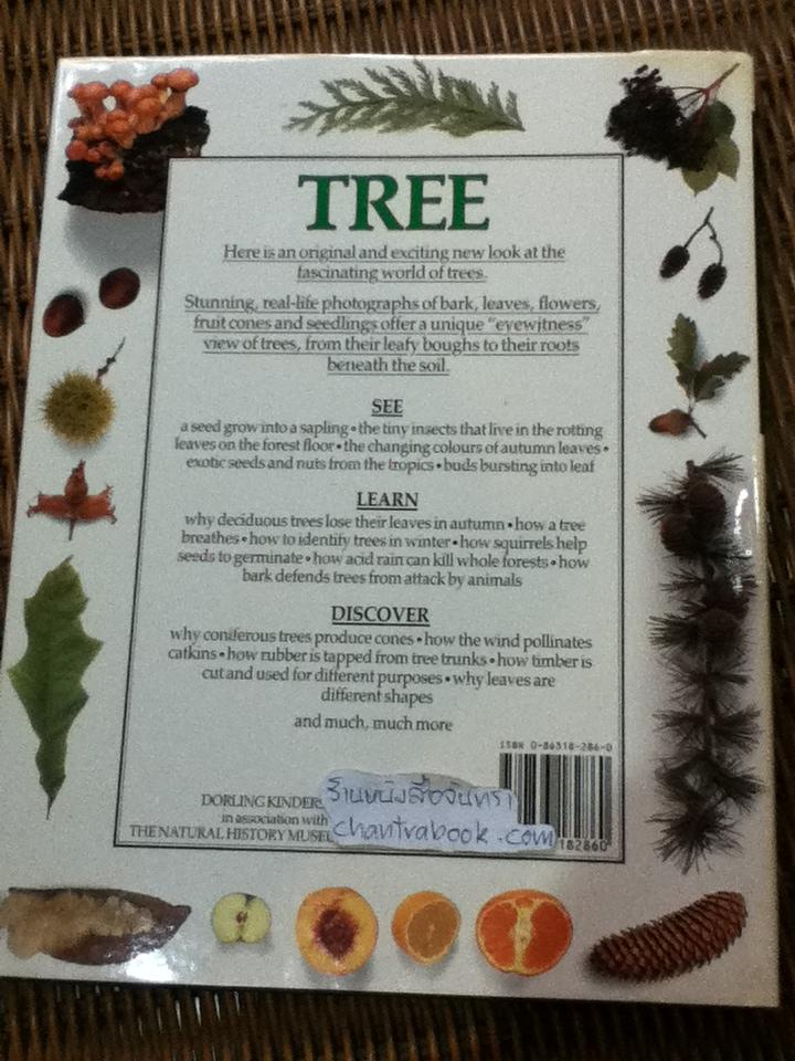 EYEWITNESS GUIDES 9 เล่ม