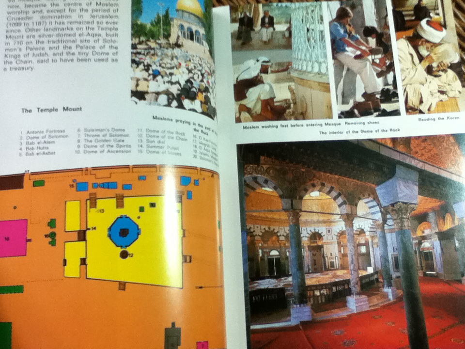 THIS IS ISRAEL/ Sylvia Mann