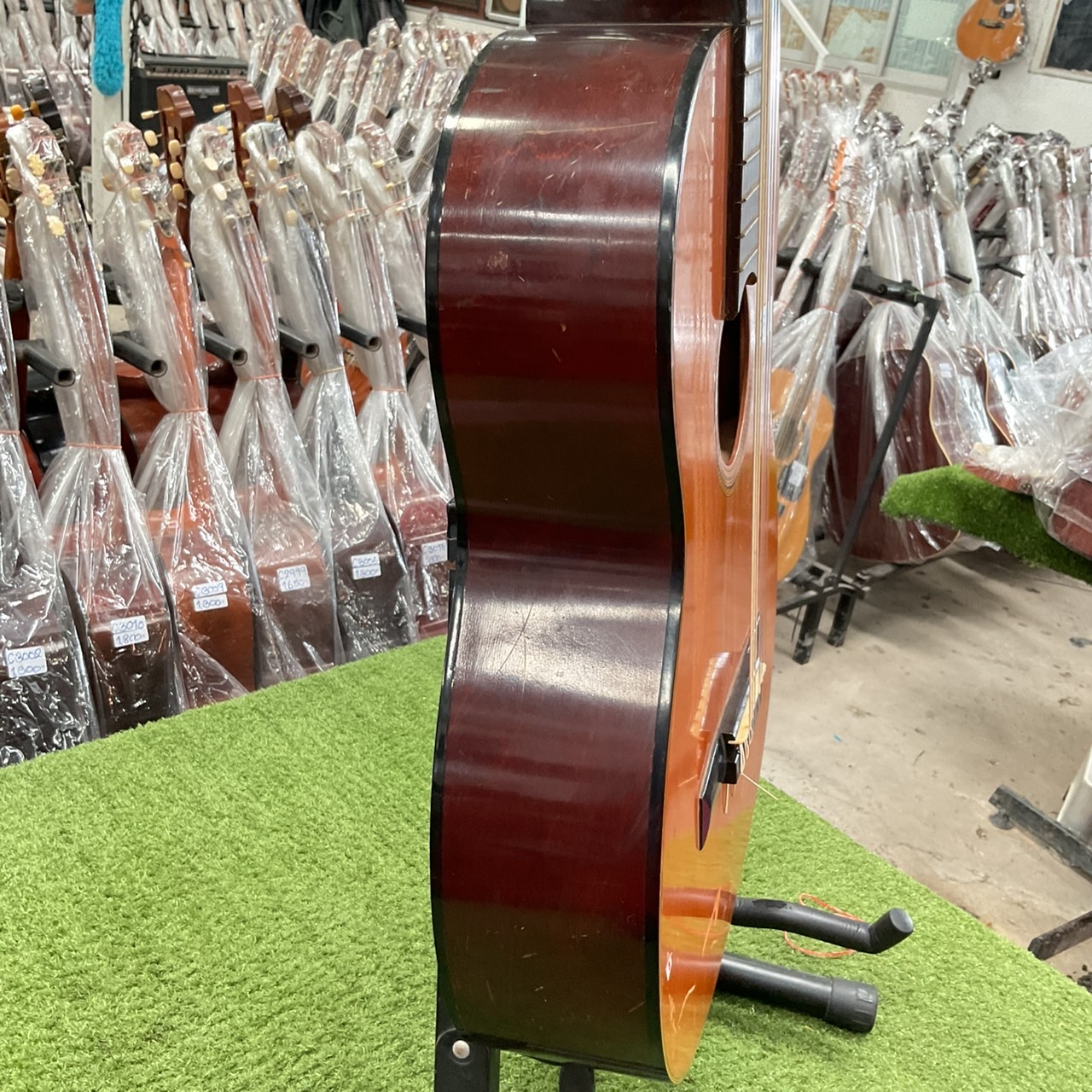 กีต้าร์คลาสสิค Azalea