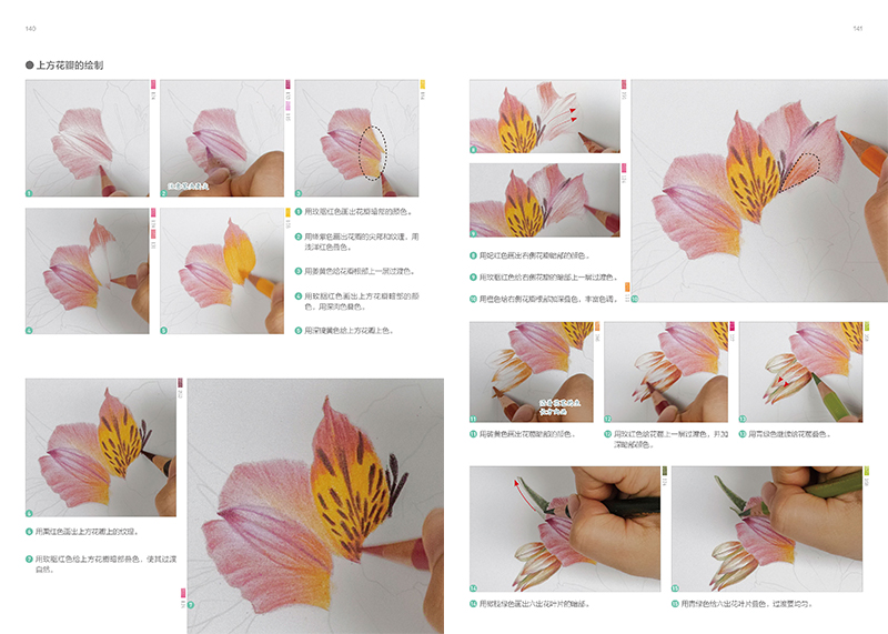 (Pre-order) หนังสือสอนระบายสีไม้ภาพดอกไม้ PAINTING WITH COLORED PENCIL