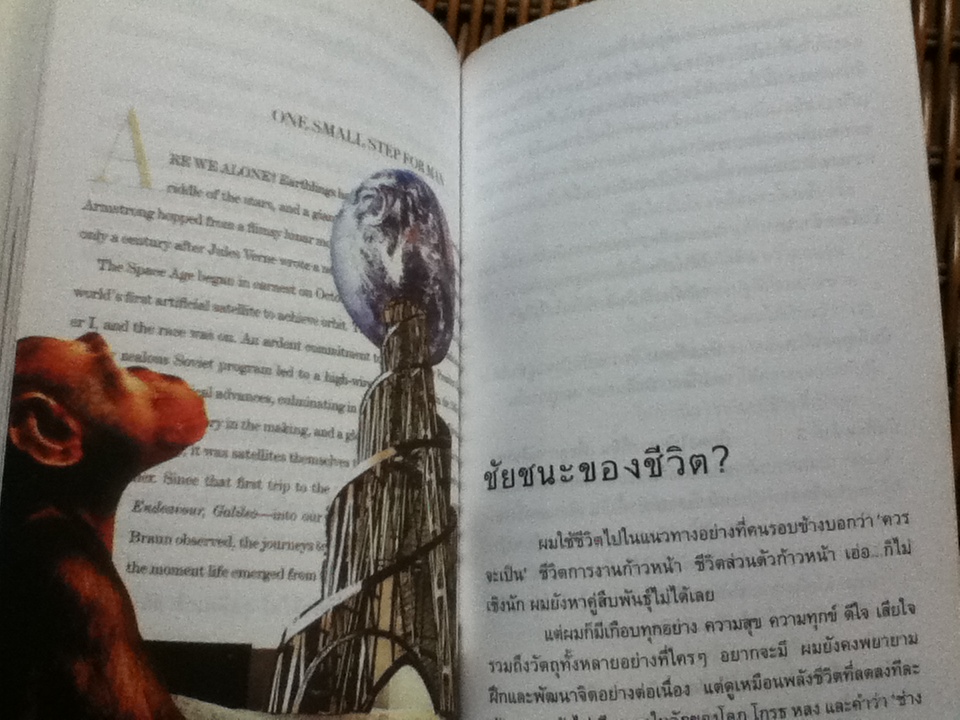 ปรากฏการณ์บนฝ้าเพดาน/ ซิกส์ด็อกส์