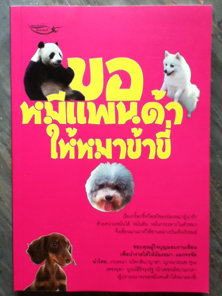 ขอหมีแพนด้าให้หมาข้าขี่