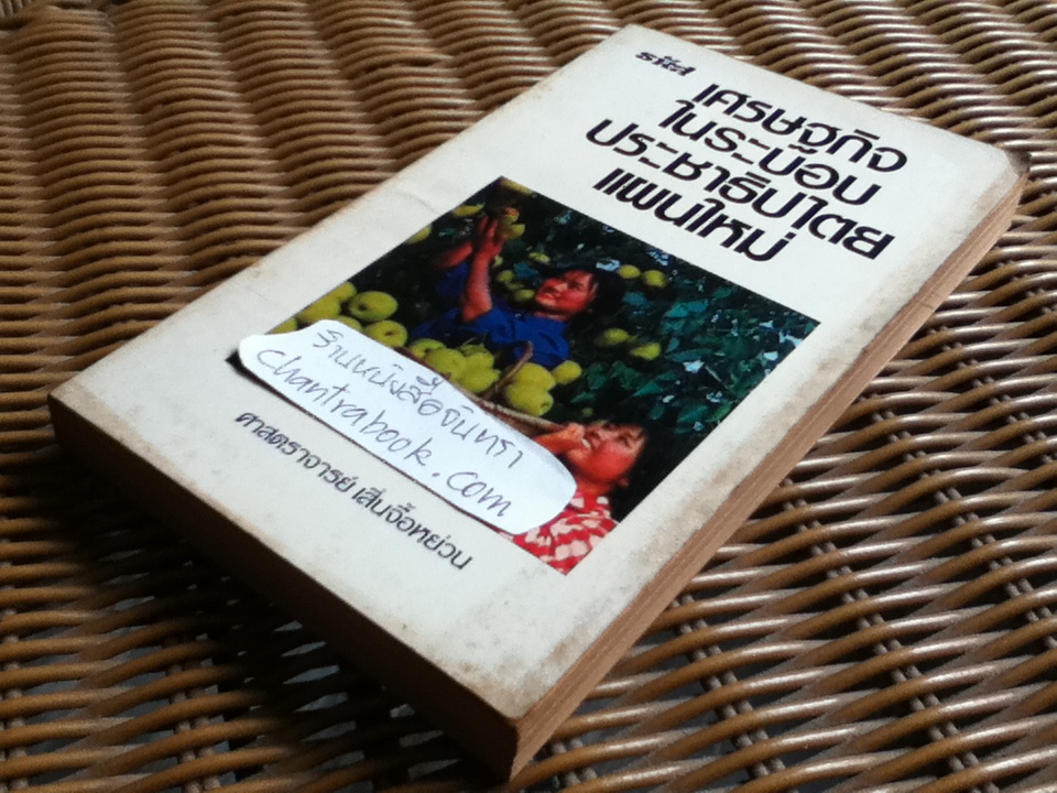 เศรษฐกิจในระบอบประชาธิปไตยแผนใหม่/ ศจ.เสิ่นจื้อหย่วน