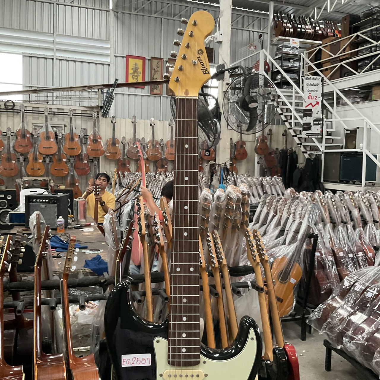 กีต้าร์ไฟฟ้า Bloom