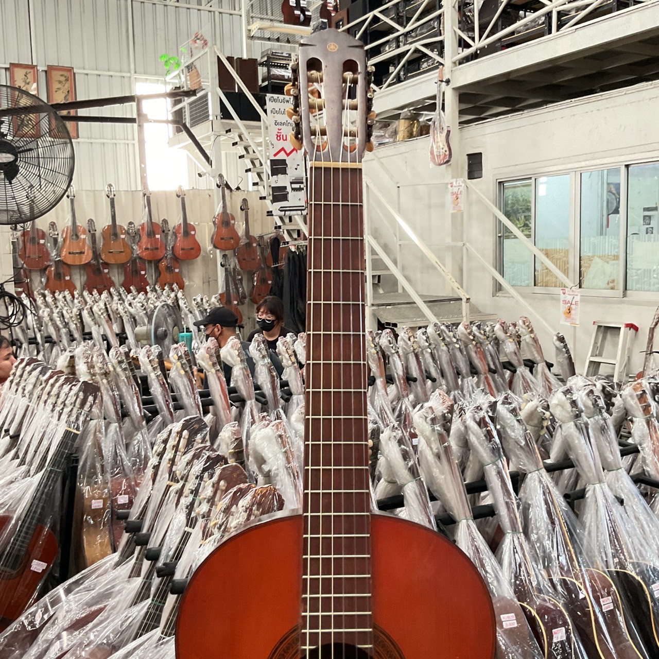 กีต้าร์คลาสสิค YAMAHA : G-70D