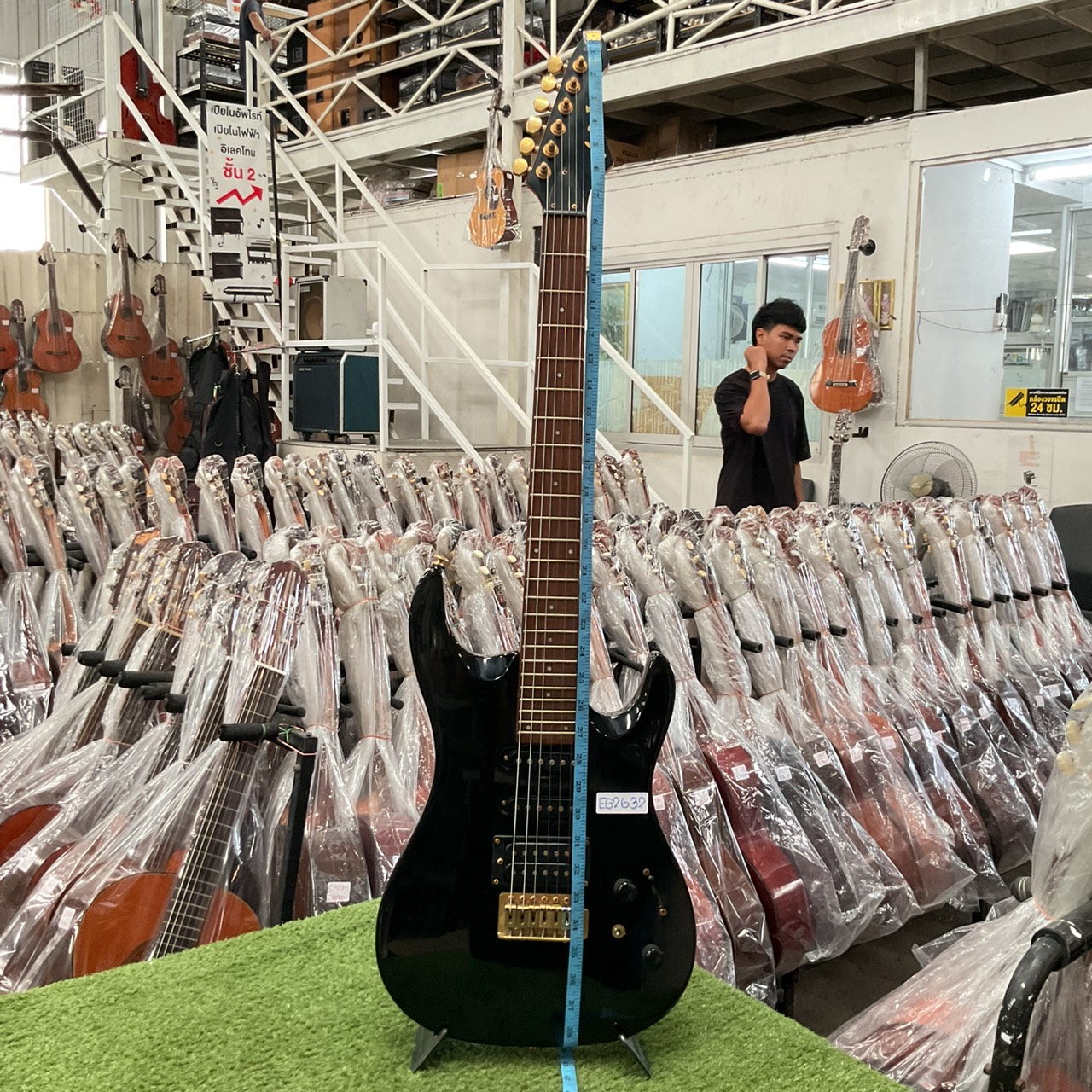 กีต้าร์ไฟฟ้า Aria Pro II : MAGNA