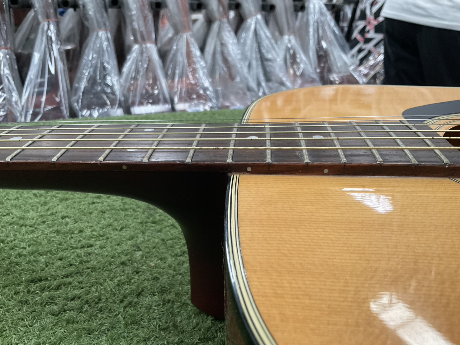 กีต้าร์โปร่ง Morris : MD-501