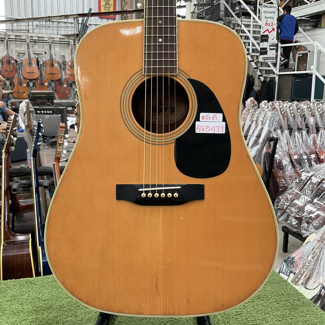 กีต้าร์โปร่ง Morris : W-20