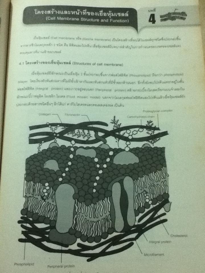 BIOLOGY I/ ธนกร อรรจนาวัฒน์