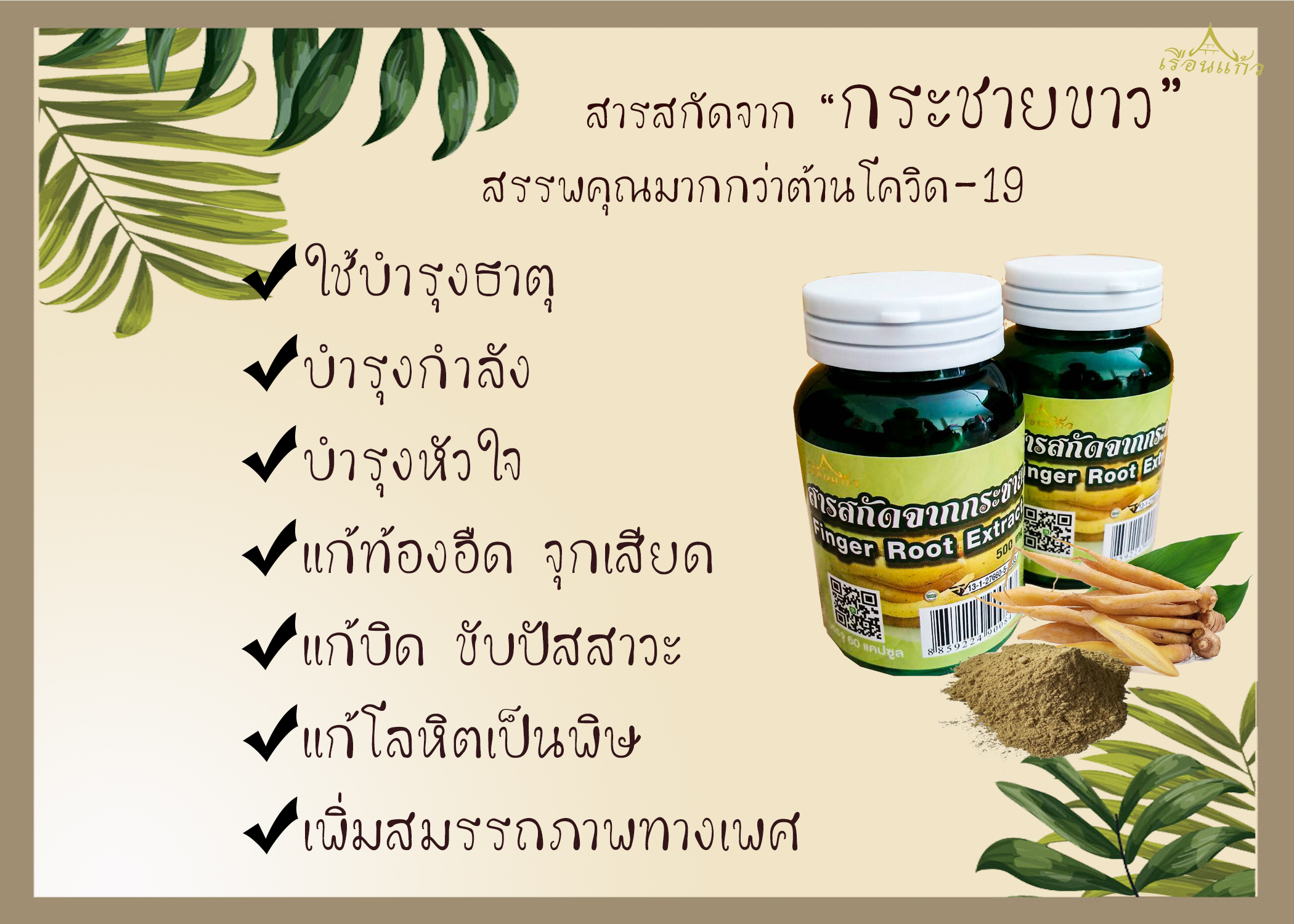 กระชายขาว
