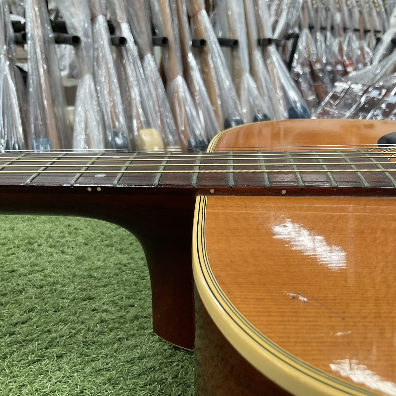 กีต้าร์โปร่ง Morris : W-18