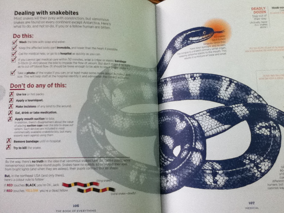 BOOK of EVERYTHING A Visual Guide to Travel and the World/ Nigel Holmes