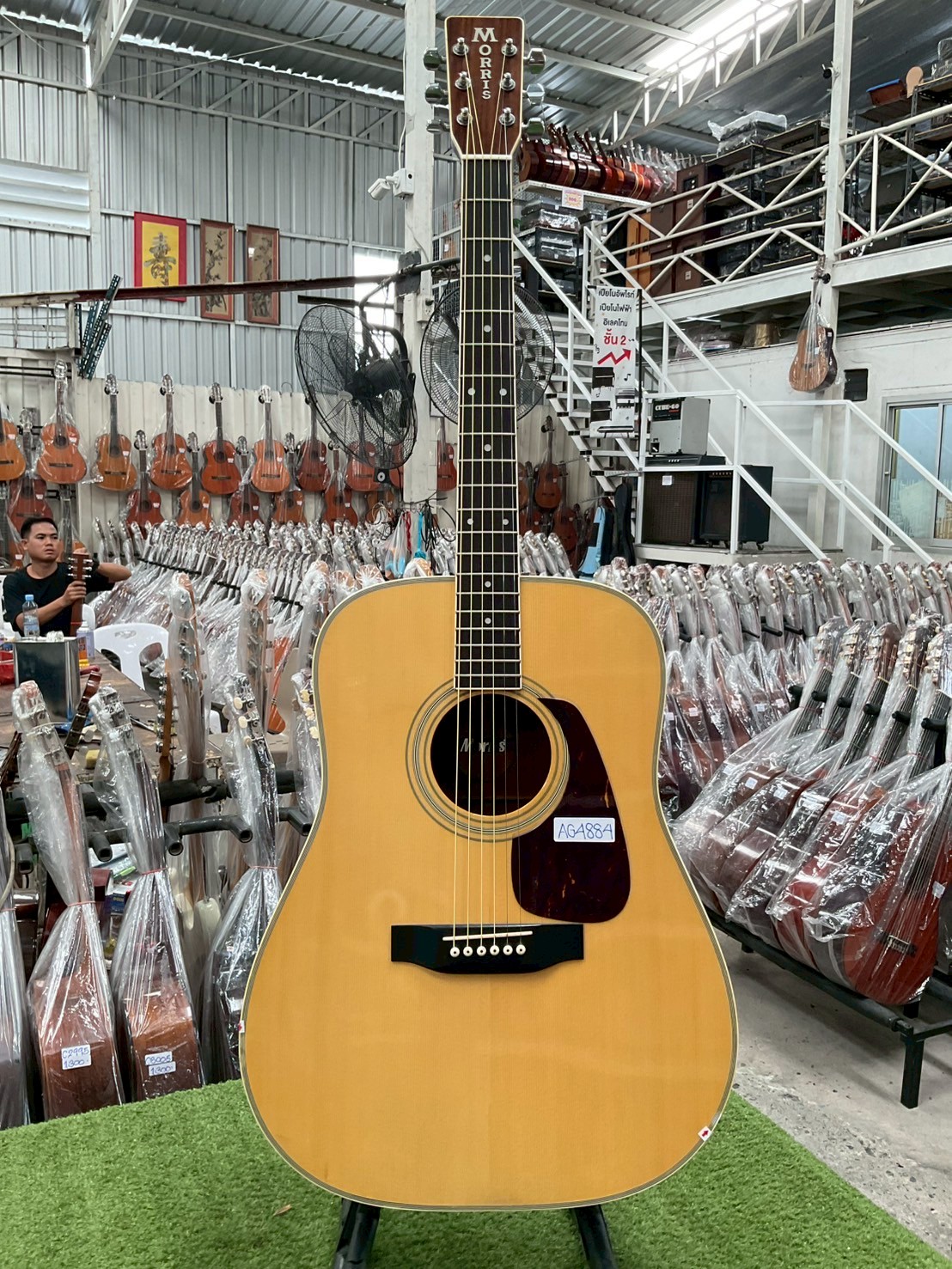 กีต้าร์โปร่ง Morris : MD-512