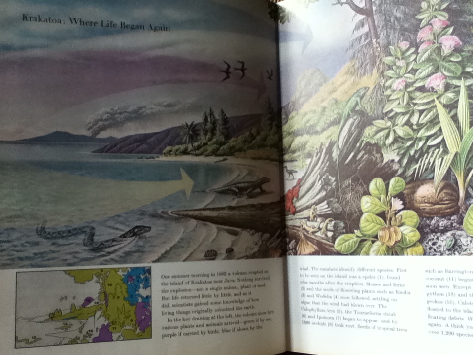 EVOLUTION/ Ruth Moore