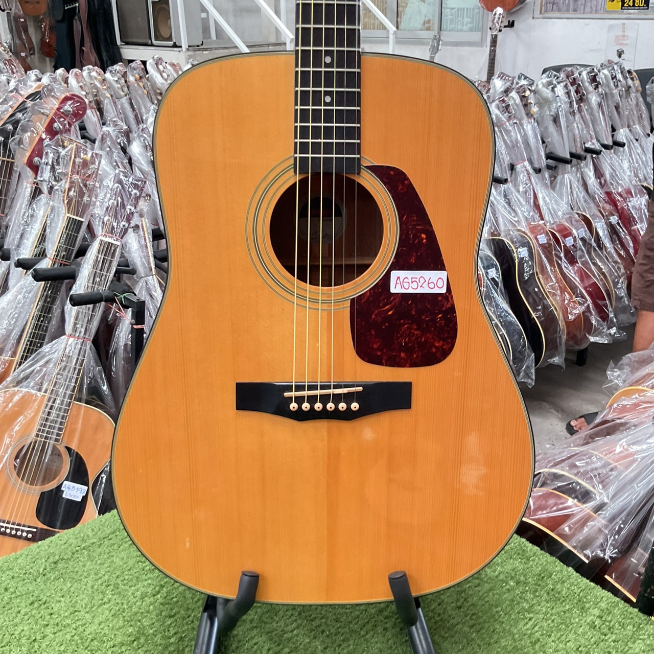 กีต้าร์โปร่ง MORRIS : M-01NAT