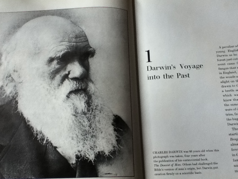 EVOLUTION/ Ruth Moore