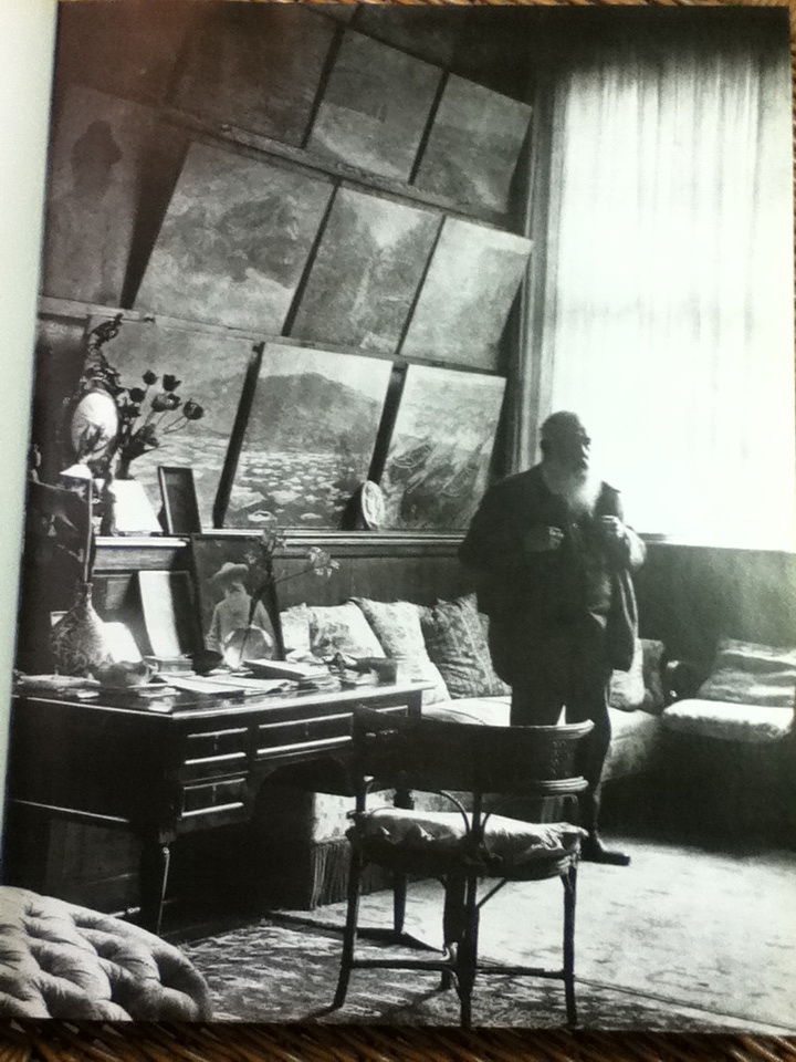 Monet or the Triumph of Impressionism/ Daniel Wildenstein