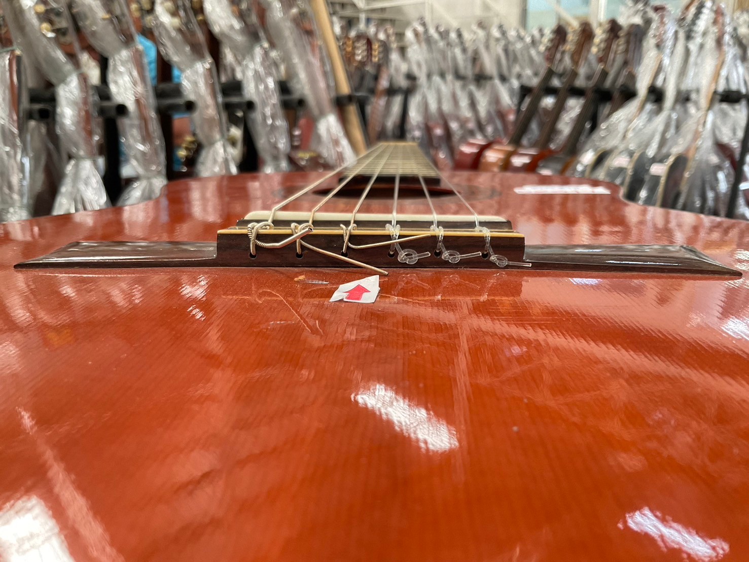 กีต้าร์คลาสสิค SUZUKI : C-13