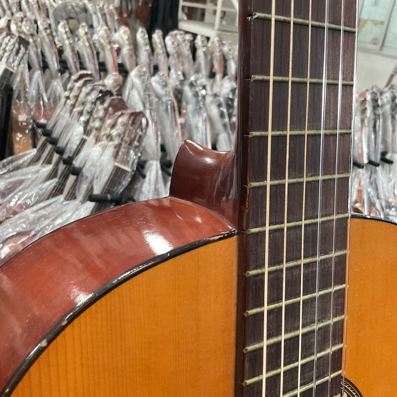 กีต้าร์คลาสสิค GREAT LAKE : G-180