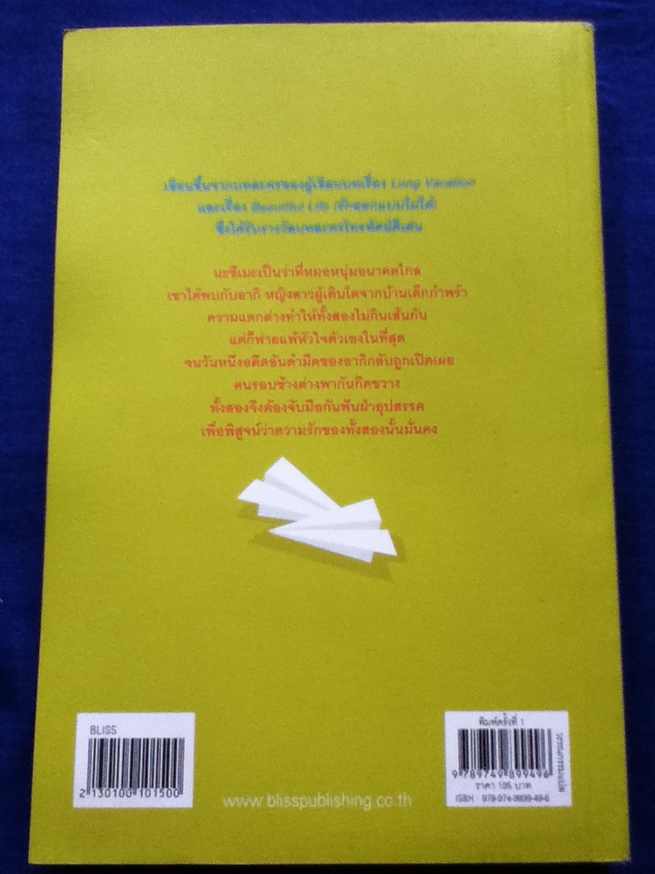 รักล้นใจ Never Fall In Love Again