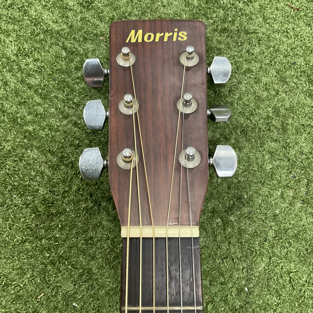 กีต้าร์โปร่ง Morris : W-18