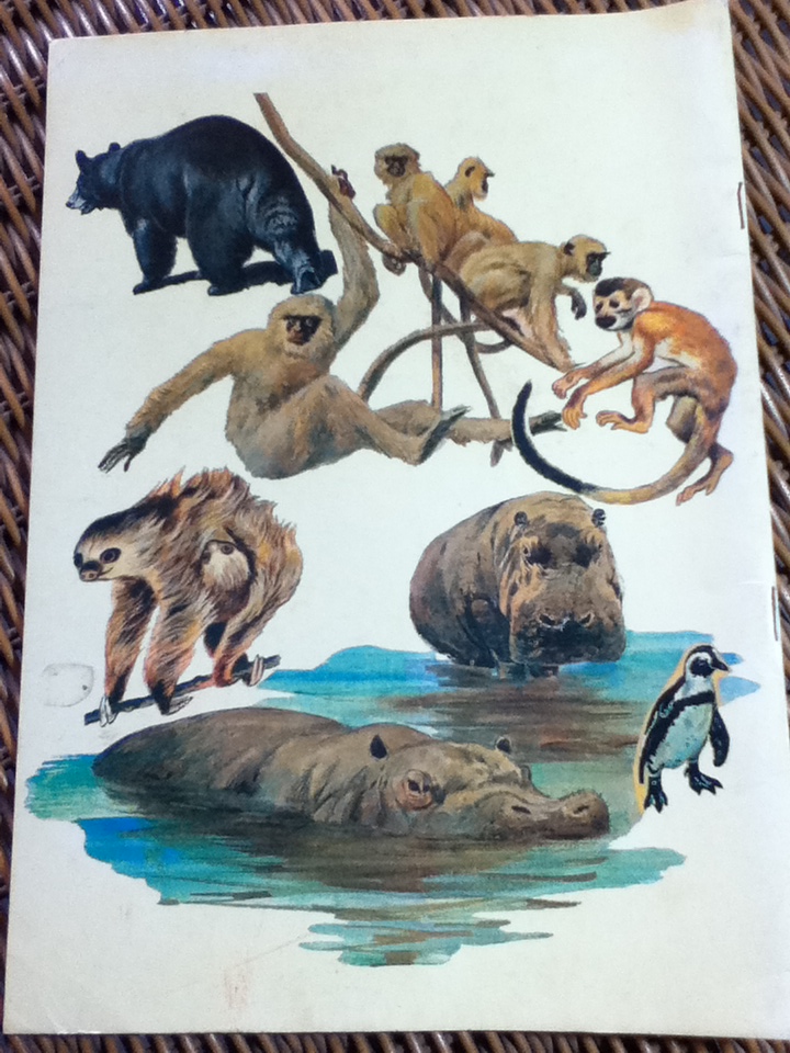 การเขียนภาพสัตว์ (หนังสือแถม)