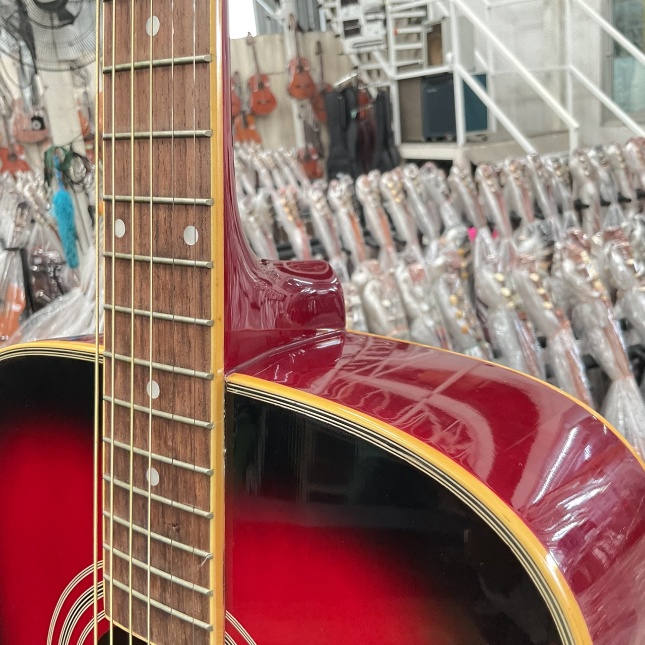 กีต้าร์โปร่ง Mavis : MW-200