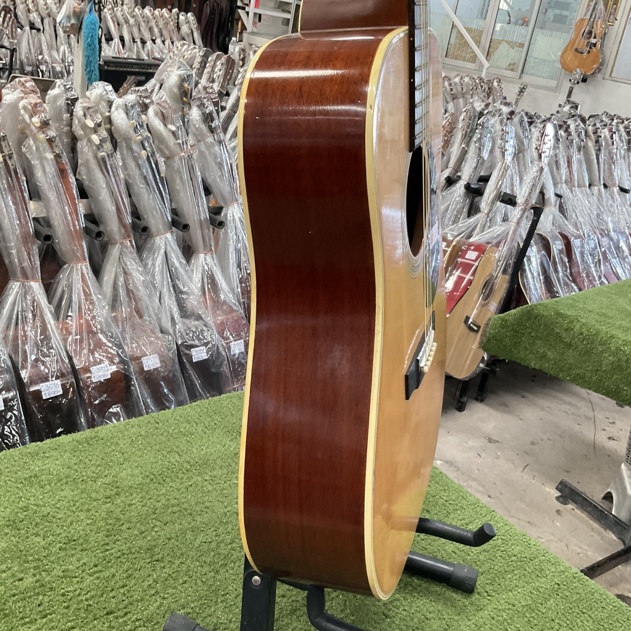 กีต้าร์โปร่ง Morris : W-18