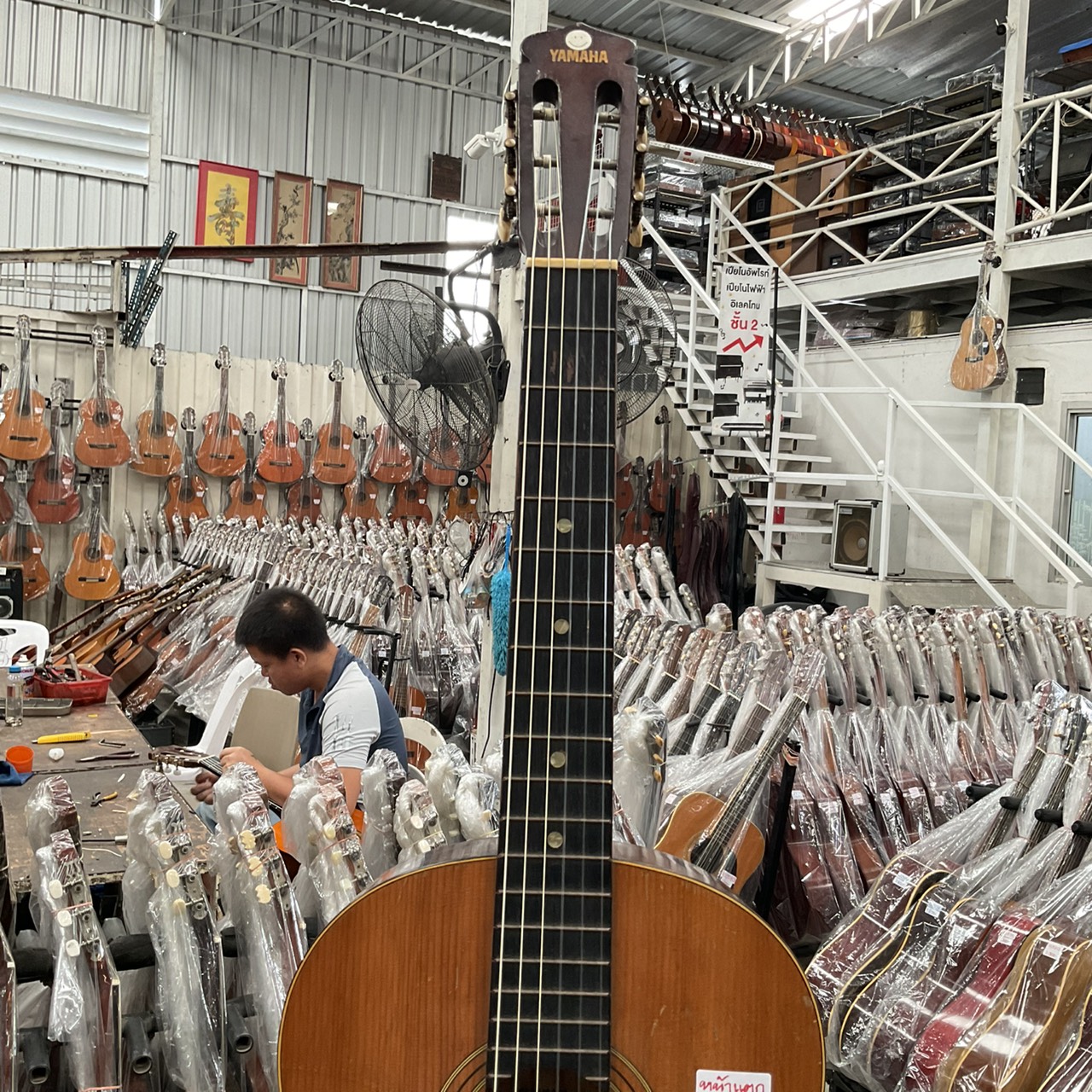 กีต้าร์คลาสสิค YAMAHA : S-50