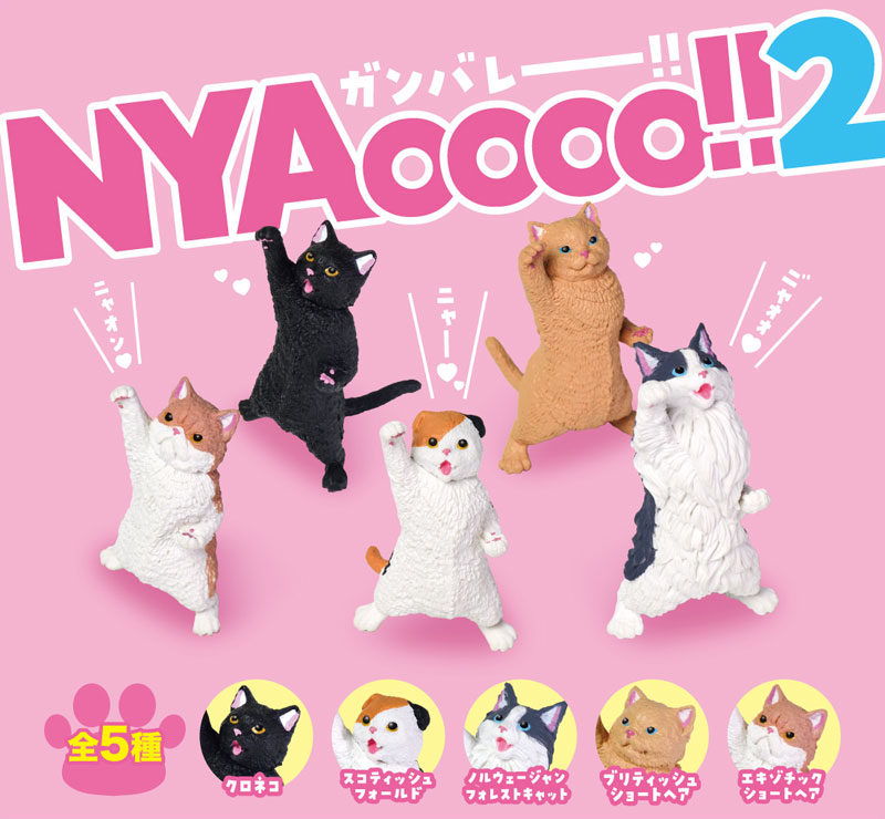 NYAoooo!! 2 10Pack BOX(Pre-order)