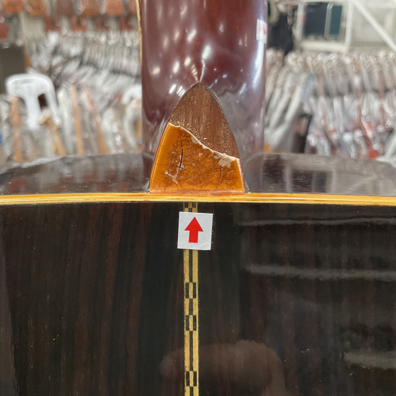 กีต้าร์โปร่ง Morris : W-23