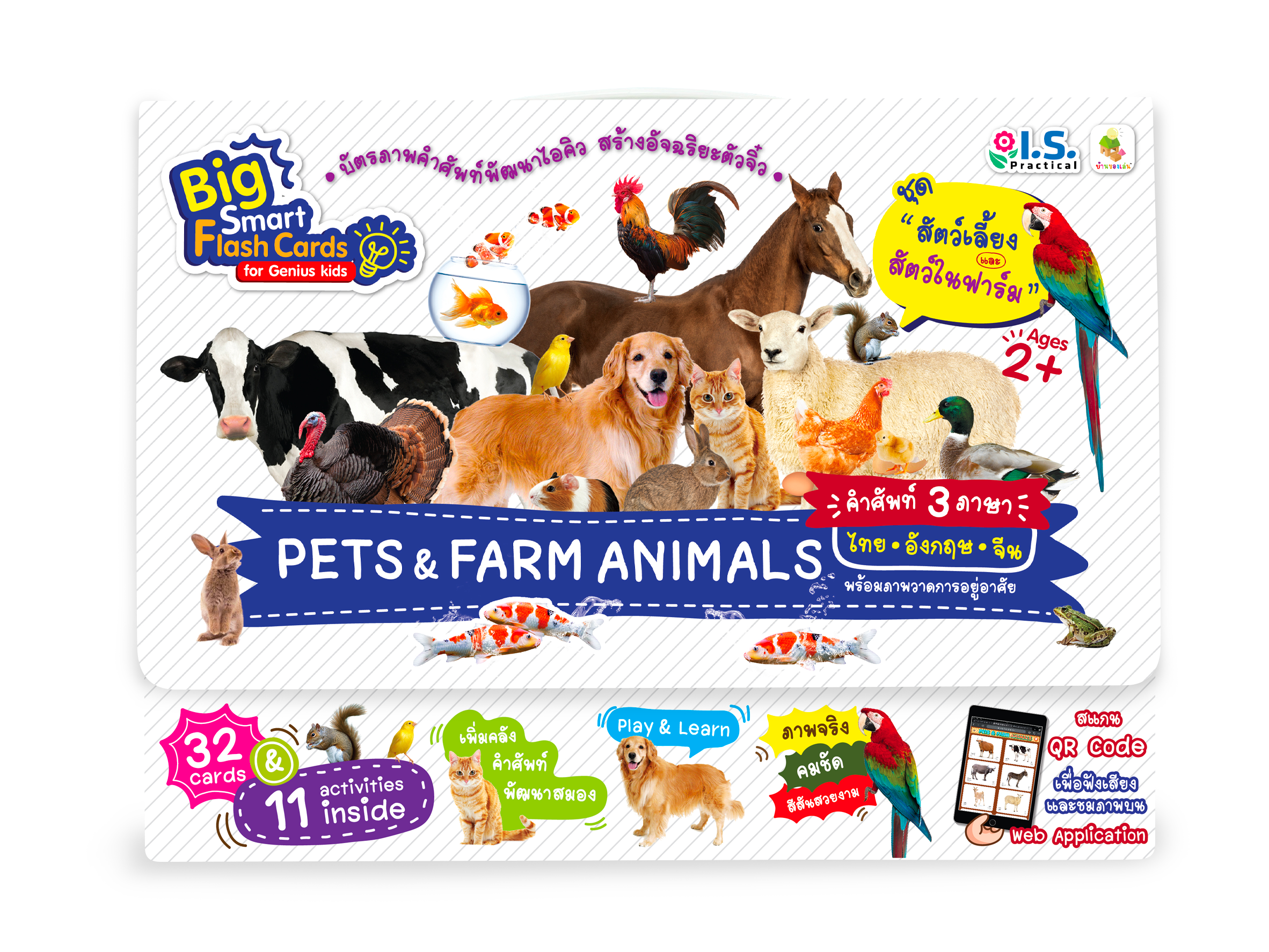 Flash Cards Jumbo Size ชุดสัตว์เลี้ยงและสัตว์ในฟาร์ม (Pets & Farm Animals)