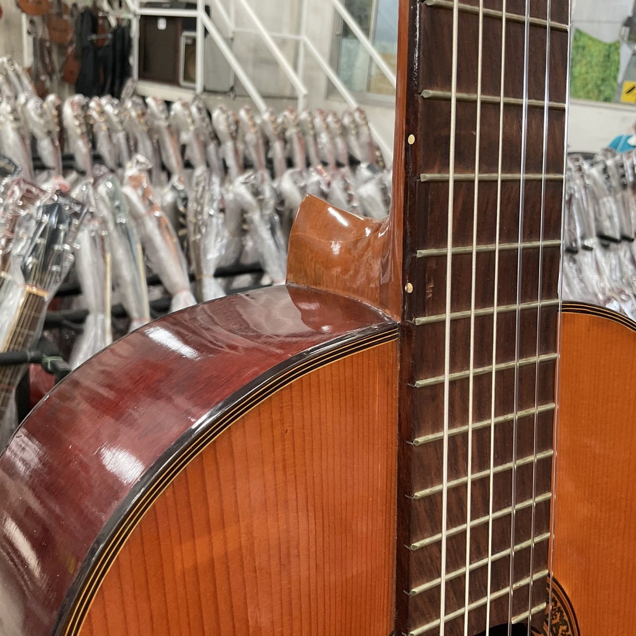 กีต้าร์คลาสสิค Shinano : No.15