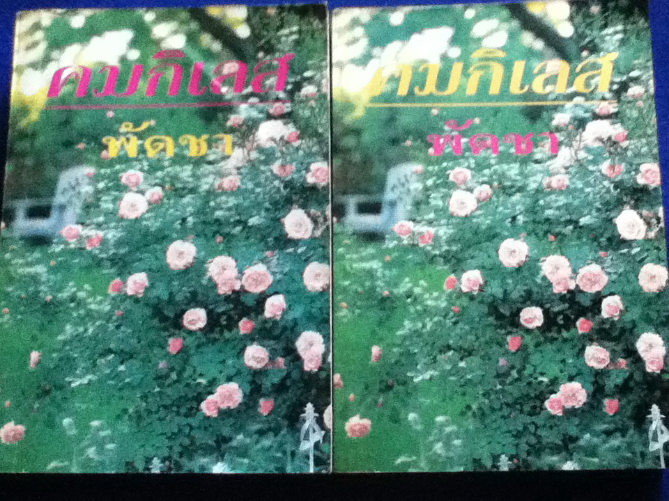 คมกิเลส (2 เล่มจบ)
