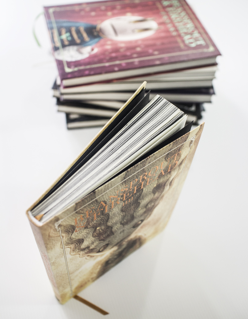 Beansprout & Firehead IIII -The Private Legend นิยายภาพ ถั่วงอกและหัวไฟ (เล่ม 4) กับตำนานส่วนตัว (ปกกึ่งแข็ง)