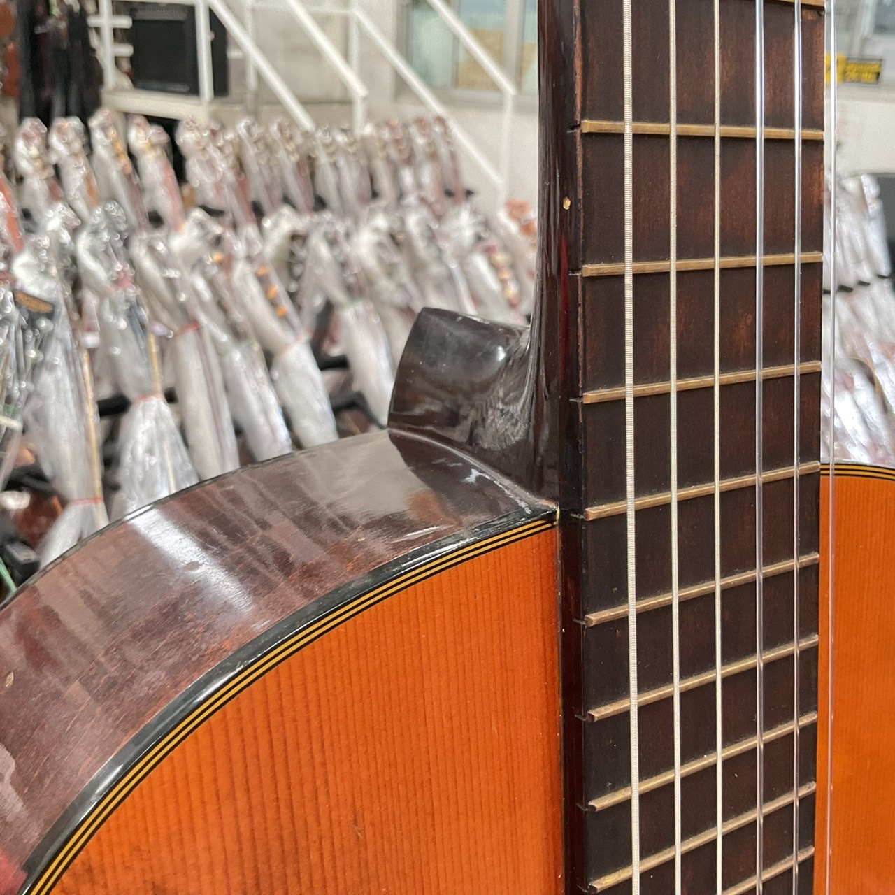 กีต้าร์คลาสสิค YAMAHA : G-50