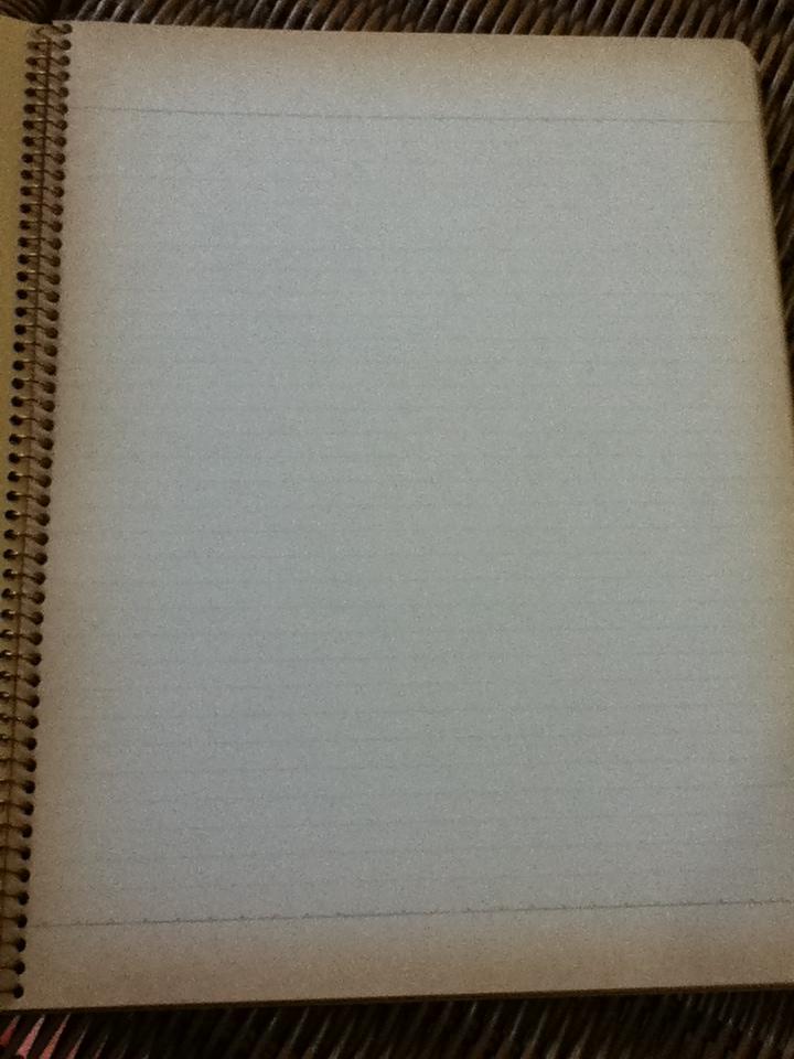 สมุดบันทึกPRINCETON UNIVERSITY